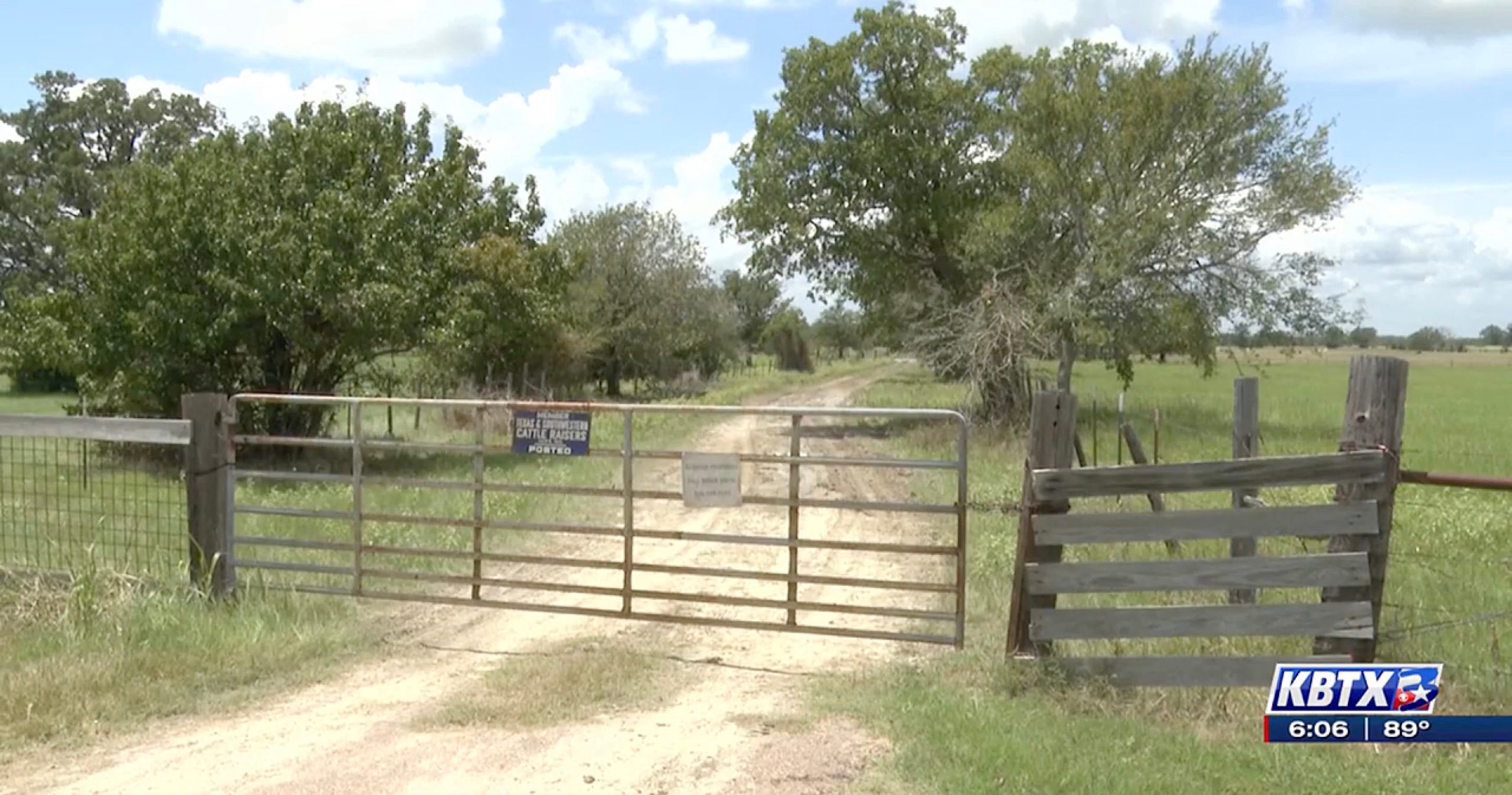 Bryce Smith, 75, died after being stung to death by bees at his home in Bedias